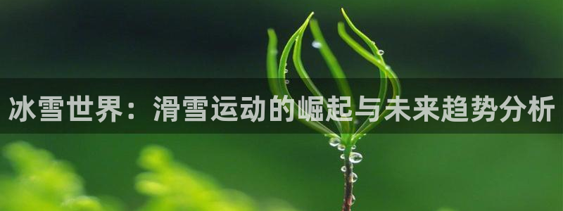 冰雪世界：滑雪运动的崛起与未来趋势分析