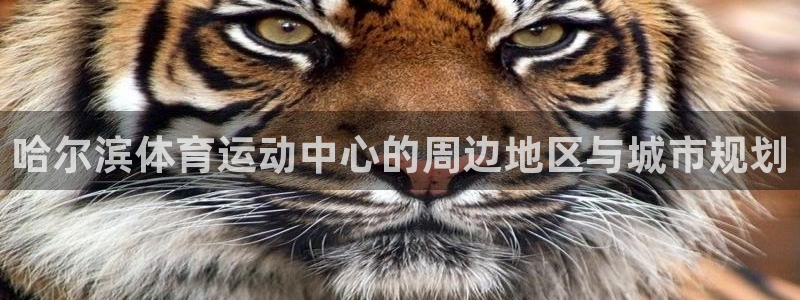 哈尔滨体育运动中心的周边地区与城市规划