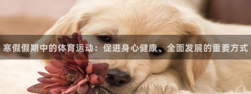 寒假假期中的体育运动：促进身心健康、全面发展的重要方式