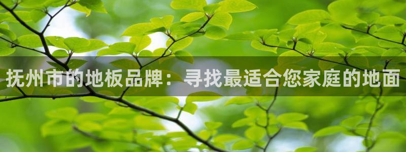 抚州市的地板品牌：寻找最适合您家庭的地面