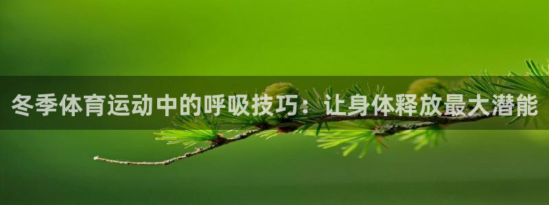 冬季体育运动中的呼吸技巧：让身体释放最大潜能