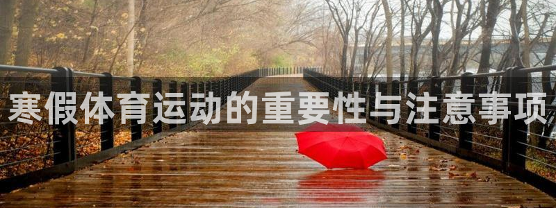 寒假体育运动的重要性与注意事项
