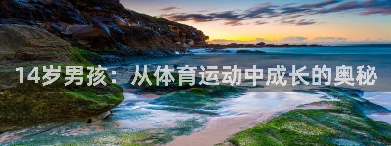 14岁男孩：从体育运动中成长的奥秘