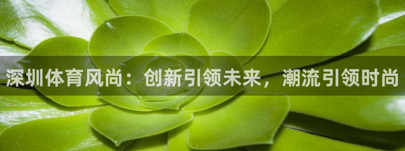 深圳体育风尚：创新引领未来，潮流引领时尚