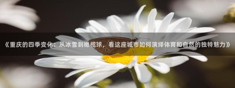 《重庆的四季变化：从冰雪到橄榄球，看这座城市如何演绎体育和自然的独特魅力》