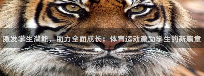 激发学生潜能，助力全面成长：体育运动激励学生的新篇章