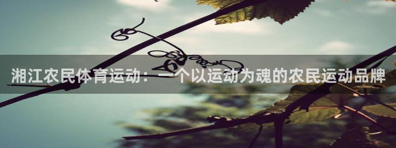 湘江农民体育运动：一个以运动为魂的农民运动品牌