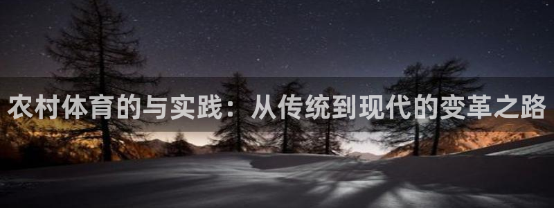 农村体育的与实践：从传统到现代的变革之路